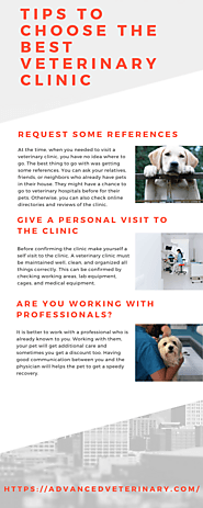 Tips to Choose the Best Veterinary Clinic