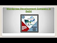 Wordpress Development Company in Delhi
