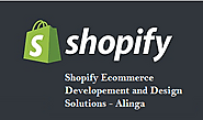 What does a Shopify website developer exactly do?