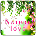 Make Nature Photo Frames