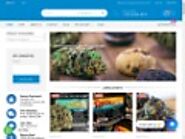 Contact - Buy Weed Online at GooWonderLand