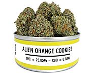 Alien orange cookies - Buy Weed Online at GooWonderLand