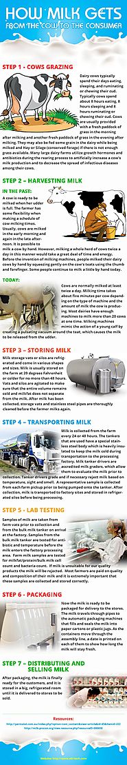 Milk's Journey - From the Cow to the Consumer