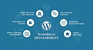 Custom WordPress Development Company - Imenso Software