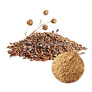 Bulk Flax Seed Powder | Top Flax Seed Powder Suppliers | Flax Seed
