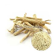 Ashwagandha Root Extract Powder | Bulk Ashwagandha Root Extract Powder