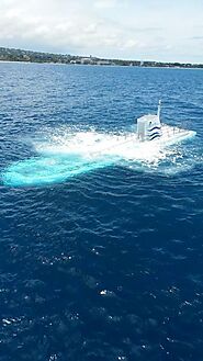 Submarine Day Dive Tour in Barbados - Atlantis Submarines Barbados