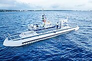 Exclusive Tour for Cruise Guests - Explore Both Land & Sea in Barbados