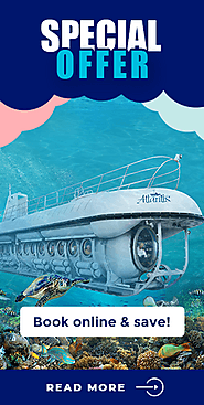Top Activities to Do in Barbados for Tourists and Residents - Atlantis Submarines Barbados