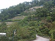 Kadoorie Farm & Botanical Garden