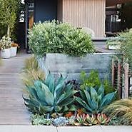Landscaping Ideas for low water gardens by Daniel Nolan