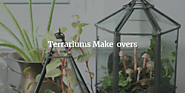 Terrarium Make overs