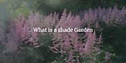What is a shade Garden