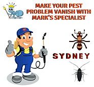 Pest Control Sydney | Same Day Pest Inspection Services in Sydney