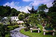 Chinese and Japanese Gardens