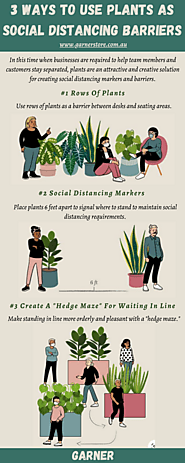 3 Ways To Use Plants As Social Distancing Barriers