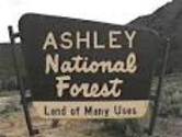 Ashley National Forest, Utah