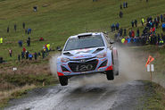 WRC news: Hyundai drops WRC driver rotation for 2015 season