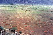 Fairy Circles of Southern Africa