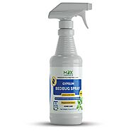 Natural Bed Bug Killer Spray | Best Non-Toxic Bed Bug Repellent - EZBo