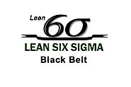 The black belt level of the six-sigma program