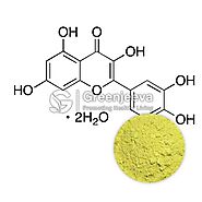 Bulk Quercetin Dihydrate Powder | Quercetin Dihydrate Extract Supplier