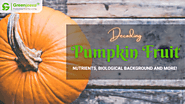 Organic Pumpkin Fruit Powder- Nutritional Profile, Uses & More