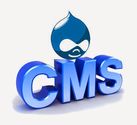 You Must Save Yourself from Tricky Drupal CMS Solutions Providers