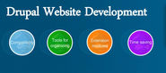 Why You Should Opt For Drupal Web Development For Next Website Project?