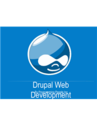 Are You Tired Of Encountering False Drupal Web Development Companies?