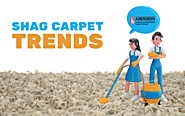 Is Shag Carpet Still in Trends?