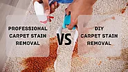 Professional vs DIY Carpet Stain Removal