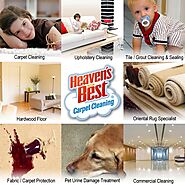 Carpet Cleaning Services In McKinney - Heaven's Best Carpet Cleaning