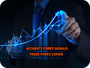 Best Forex Signal Provider UK | Wawforexsignals.com