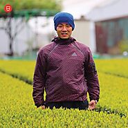 Farmer Focus: Yokota-san – Cup of Japan