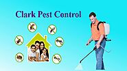 Clark Pest Control provides eco-friendly services