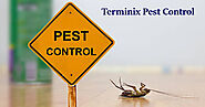 Get Top-Notch Services With Terminix Pest Control