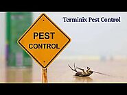Remove Even The Last Pest With Terminix Pest Control