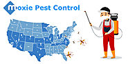Get Pest-Free Services With Moxie Pest Control