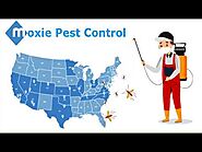 Get Pest-Free Services With Moxie Pest Control