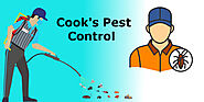 Exclusive Offer This Season With Cook's Pest Control