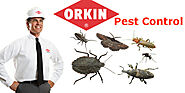 Exclusive Offer With Orkin Pest Control