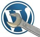 What should I know before installing WordPress?
