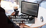 What does it take to create a dynamic mobile application for your business? - TopDevelopers.co