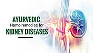 Natural remedies can bring your kidney health back on the track – Shuddhi Ayurvedic Products & Clinics