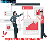 B2B Data Providers UK