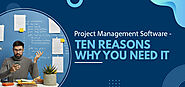 Website at https://www.taskopad.com/blog/project-management-software-why-you-need/