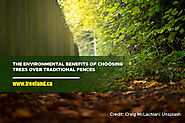 The Environmental Benefits of Choosing Trees Over Traditional Fences - Caledon Treeland