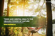 Trees and Mental Health: The Healing Power of Nature - Caledon Treeland