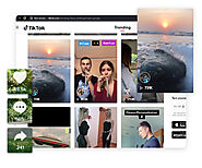 TikTok Data Scraping Services - Scrap or Extract TikTok Users, Hashtags and Videos